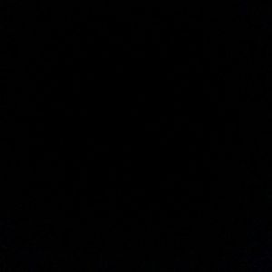 Meet your Posher, Shane